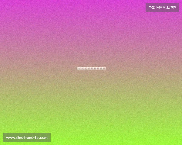 自豪电子竞技有限公司、自豪机械有限公司